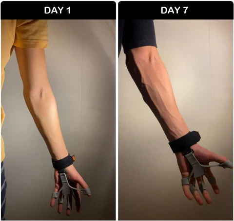 Gripster Strength Trainer